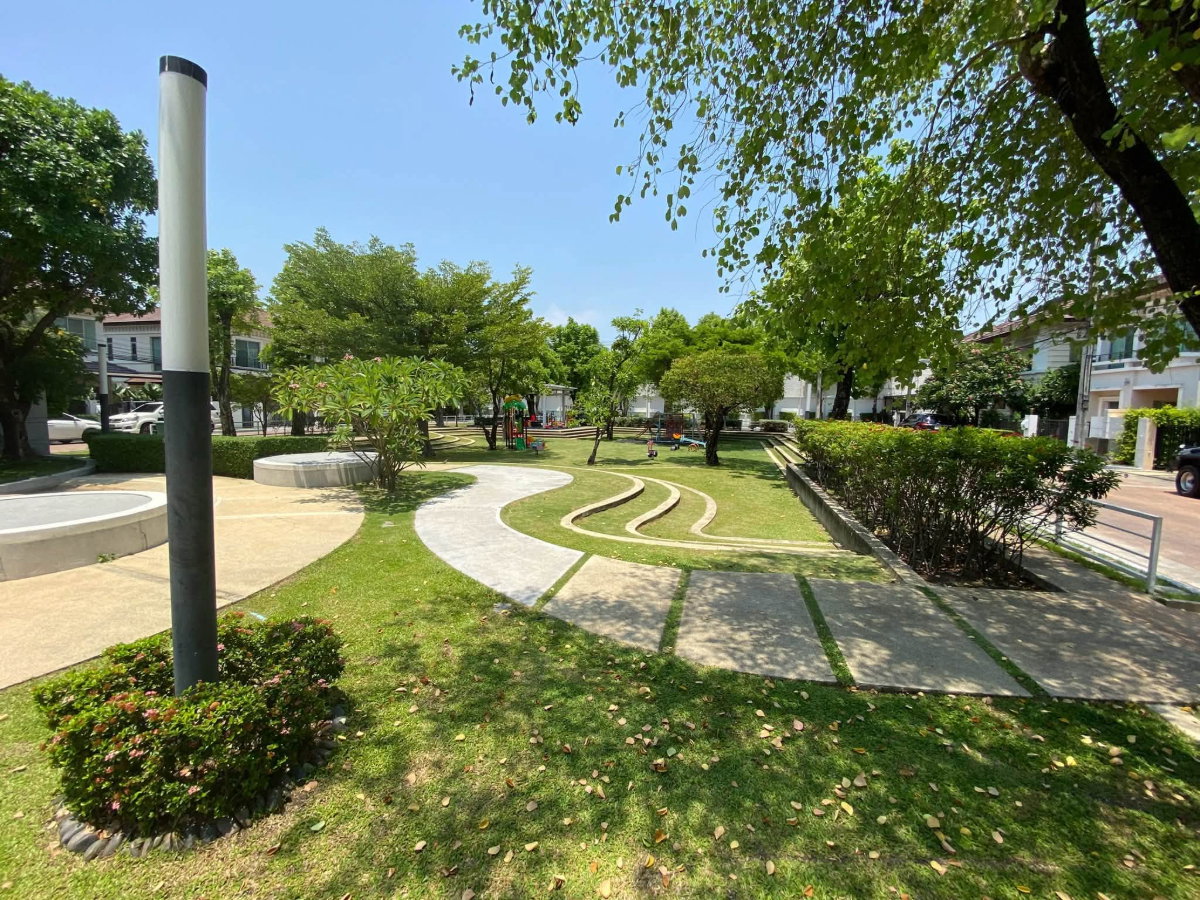 รูป บ้านเช่าพร้อมเฟอร์นิเจอร์ เซ็นโทร สุขุมวิท 113 ใกล้ โรงเรียนบางกอกพัฒนา - รูปที่ 2/13