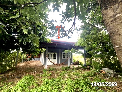 บ้านเดี่ยว ยโสธร : บ้านเดี่ยว 2130 ตร.วา เมืองยโสธร ยโสธร 6.8M