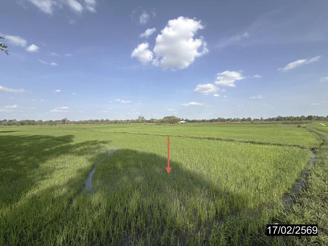 picture LAND 3515 Sq.w. Rong Kham Kalasin for 1M - 7/20