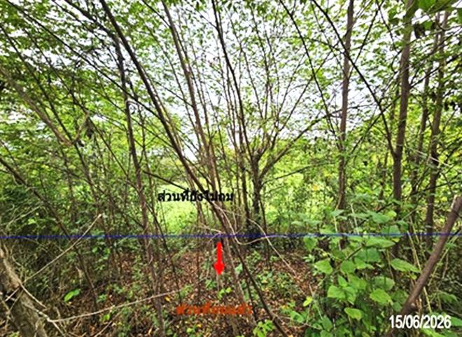 picture FACTORY 2382 Sq.w. Phichai Uttaradit for 5M - 7/18