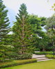 listing thumbnail image 25