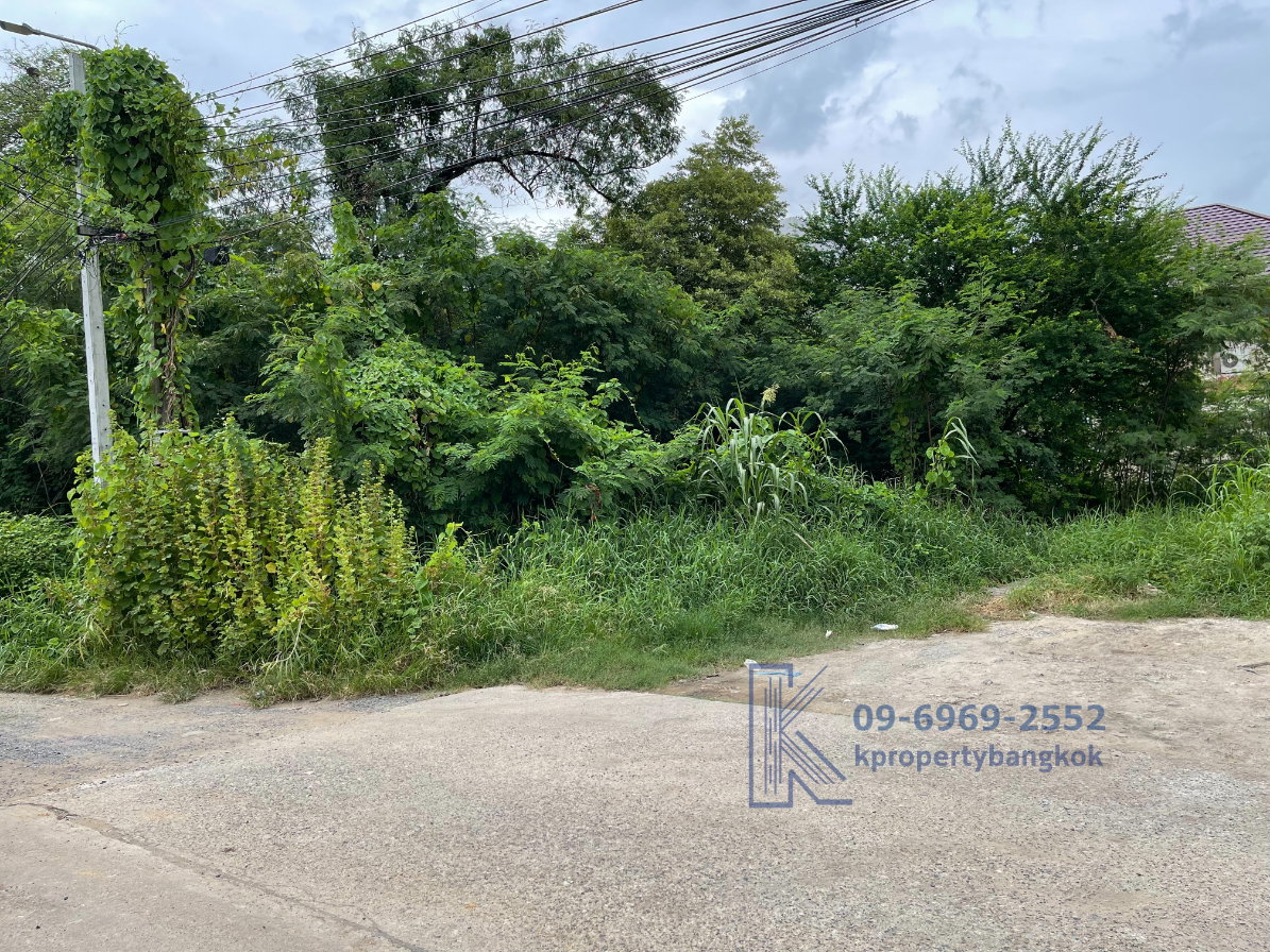 รูป ขายที่ดินเปล่าเมืองแก้วซอย 2 ราชวินิตบางแก้ว 192 ตร.ว ใกล้ห้างเมกาบางนา ติดต่อ 09-6969-2552 - รูปที่ 4/6