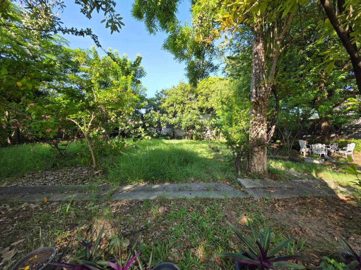 รูป ขาย บ้านพร้อมที่ดิน 191 ตร.ว แปลงใหญ่ Rare Item !! ซ.บุญศิริ ใกล้ BTS รร.นายเรือ ปากน้ำ - รูปที่ 10/21
