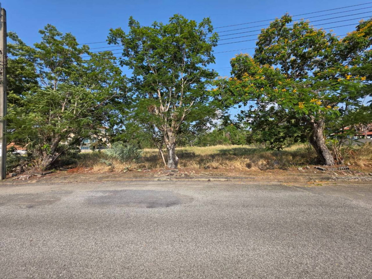 รูป ขายที่ดิน Lakewood บางนา 958 ตร.ว เหมาะสร้างบ้าน ใกล้ Maga Bangna - รูปที่ 3/9