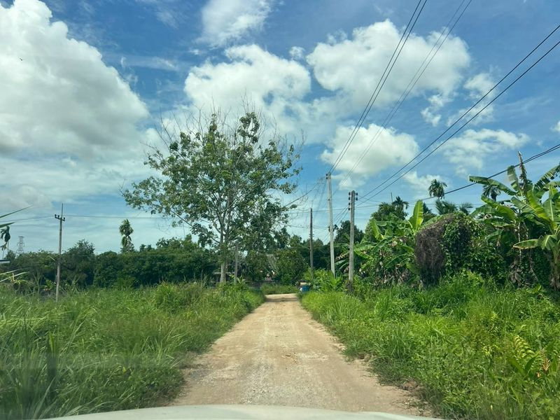 รูป ขายถูก แปลงที่ดินขนาด 112 ตรว. ต.หนองตะพาน อ.บ้านค่าย จ.ระยอง - รูปที่ 10/10