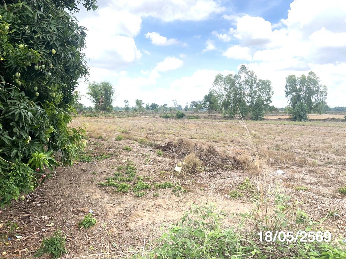 รูป บ้านเดี่ยว 2130 ตร.วา เมืองยโสธร ยโสธร 6.8M - รูปที่ 11/16