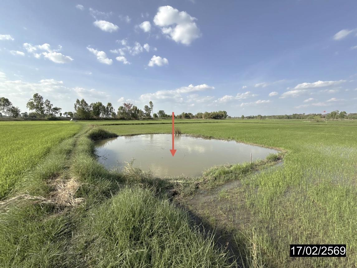 picture LAND 3515 Sq.w. Rong Kham Kalasin for 1M - 16/20