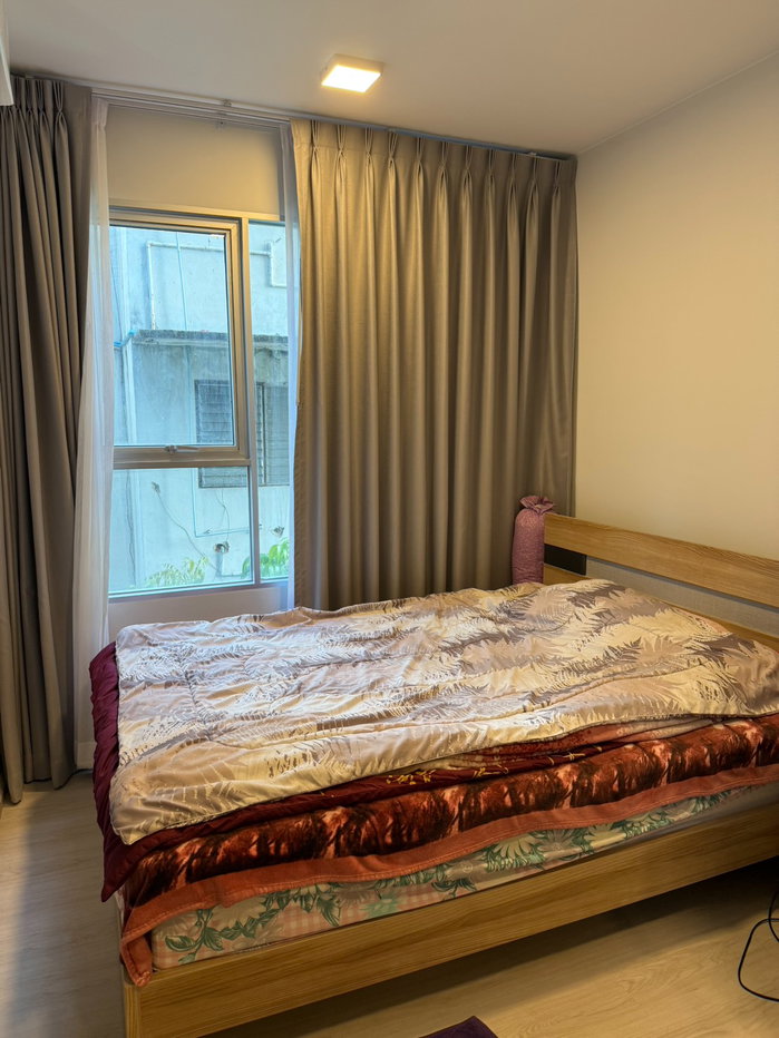 รูป 🏡 ปล่อยเช่าด่วน! Plum Condo สุขุมวิท 62 ใกล้ BTS บางจาก 550 ม. ห้องพร้อมอยู่ มีเฟอร์และเครื่องใช้ไฟฟ้า ต่อรองราคาได้ 📞 094-559-1079 - รูปที่ 4/10