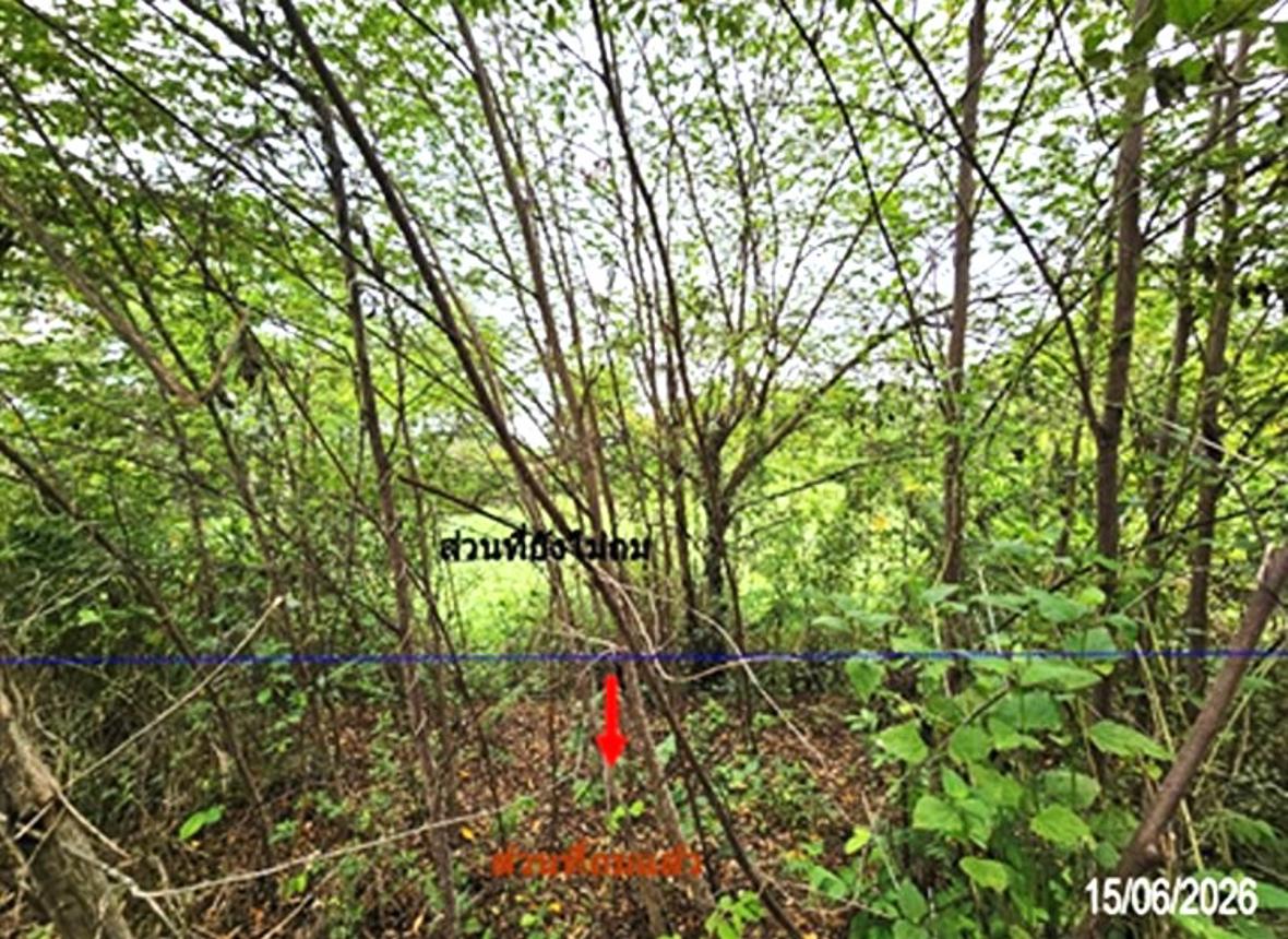 picture FACTORY 2382 Sq.w. Phichai Uttaradit for 5M - 14/18