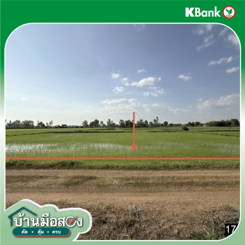 picture LAND 3515 Sq.w. Rong Kham Kalasin for 1M - 18/20