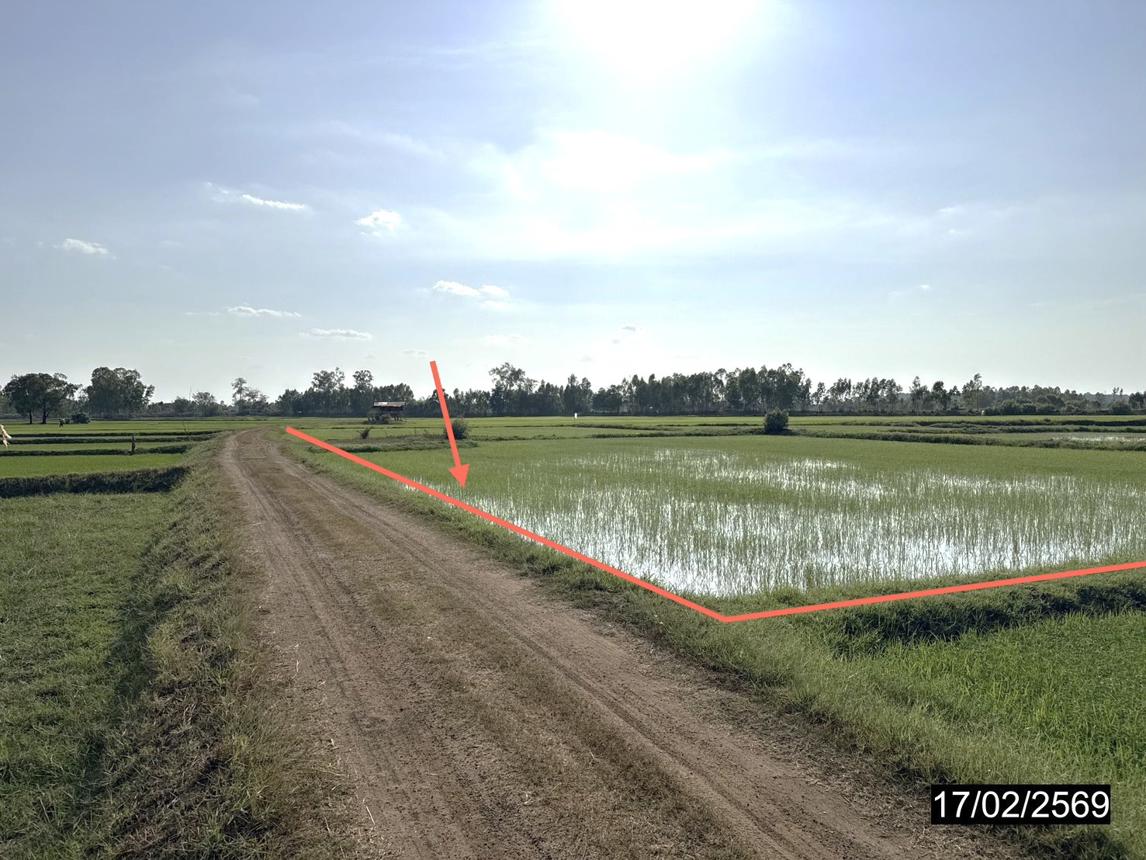 picture LAND 3515 Sq.w. Rong Kham Kalasin for 1M - 10/20