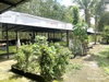 listing thumbnail image 31