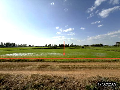 LAND 3515 Sq.w. Rong Kham Kalasin for 1M
