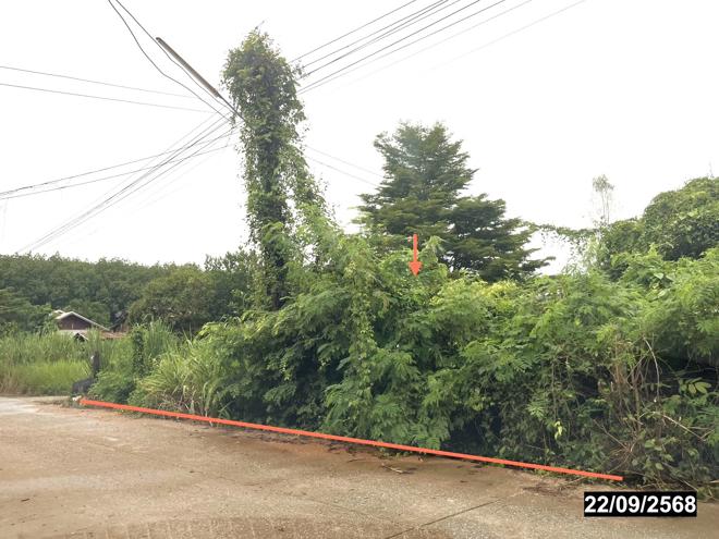 picture HOME 222 Sq.w. Si Chiang Mai Nongkai for 712,000 - 2/14