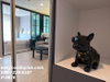 listing thumbnail image 9