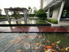 listing thumbnail image 27