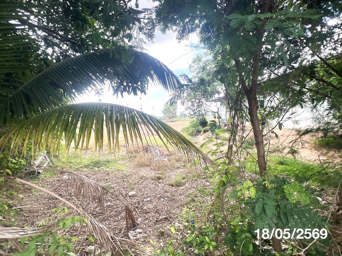 รูป บ้านเดี่ยว 2130 ตร.วา เมืองยโสธร ยโสธร 6.8M - รูปที่ 10/16