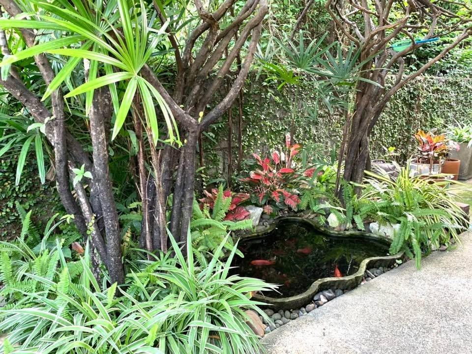 picture For Rent Detached House Sammakorn Ramkhamhaeng112 GH618 - 3/13