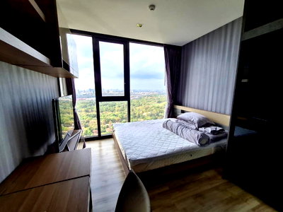 Condos for sale : The Line Jatujak-Mochit Highlights: Chatuchak Park view on a high floor, Unblocked View, as wide as the eye can see. 