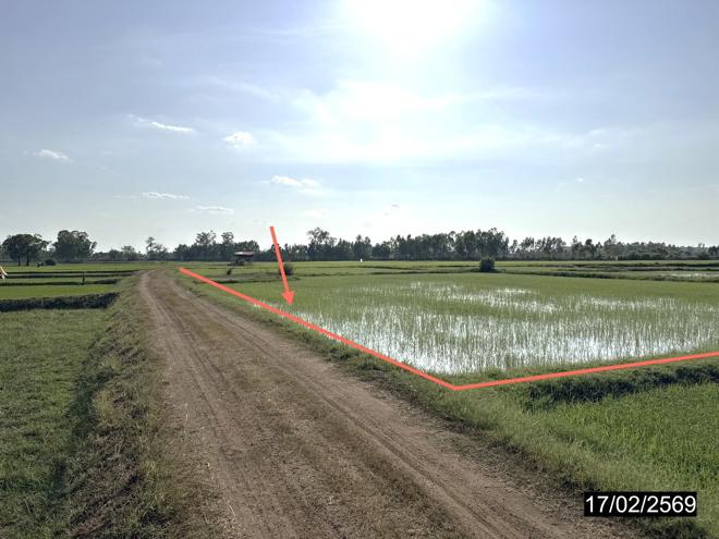 picture LAND 3515 Sq.w. Rong Kham Kalasin for 1M - 2/20