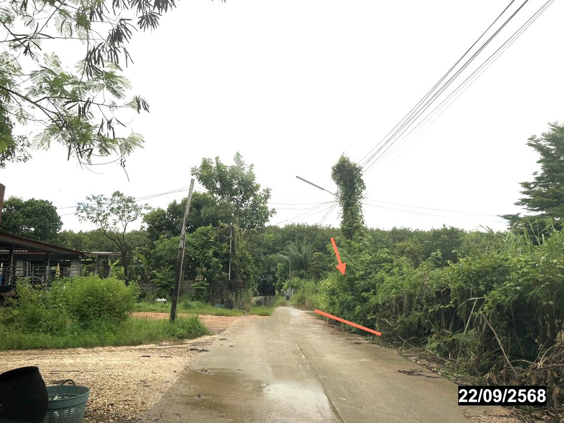 picture HOME 222 Sq.w. Si Chiang Mai Nongkai for 712,000 - 10/14