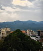 listing thumbnail image 13