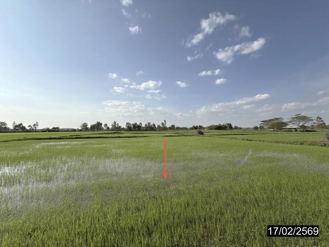 picture LAND 3515 Sq.w. Rong Kham Kalasin for 1M - 4/20