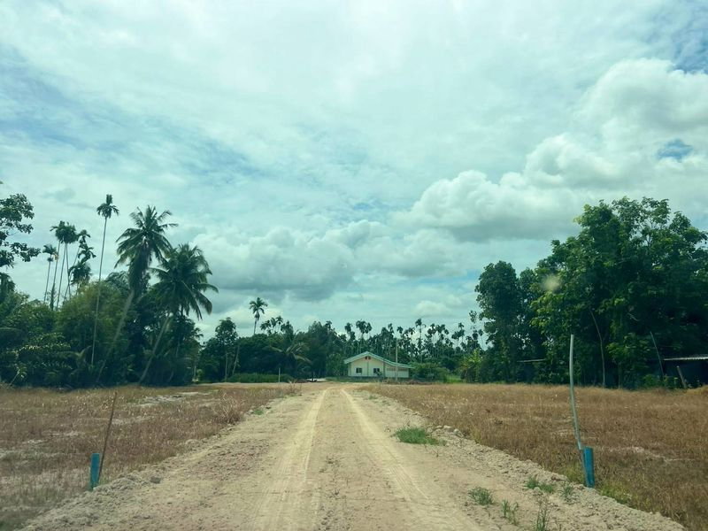 รูป ขายถูก แปลงที่ดินขนาด 112 ตรว. ต.หนองตะพาน อ.บ้านค่าย จ.ระยอง - รูปที่ 5/10