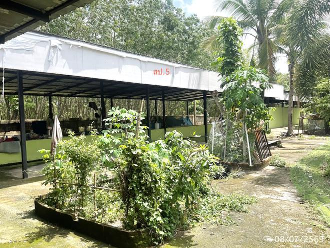 รูป โกดัง 11795 ตร.วา เดชอุดม อุบลราชธานี 52.5M - รูปที่ 10/48