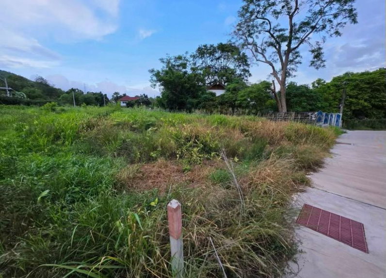 รูป ขายด่วน! ที่ดินสวย ทำเลเยี่ยม ศรีราชา ใกล้เซ็นทรัลเพียง 5 นาที - รูปที่ 1/6