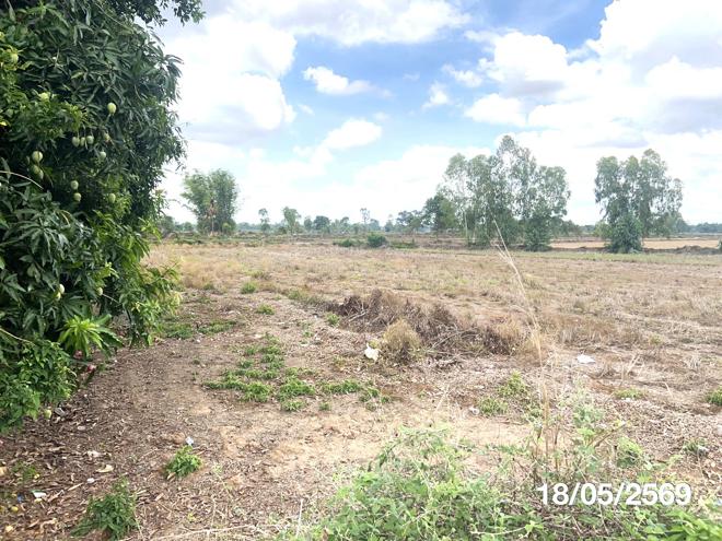 รูป บ้านเดี่ยว 2130 ตร.วา เมืองยโสธร ยโสธร 6.8M - รูปที่ 5/16