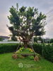 listing thumbnail image 2