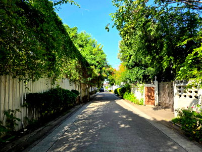Land for sale วิทยาลัยการอาชีพพระสมุทรเจดีย์ : For sale: House with land, 191 sq.wa (large plot), Rare Item!! Soi Boon Siri, near BTS Royal Thai Navy Academy, Pak Nam.