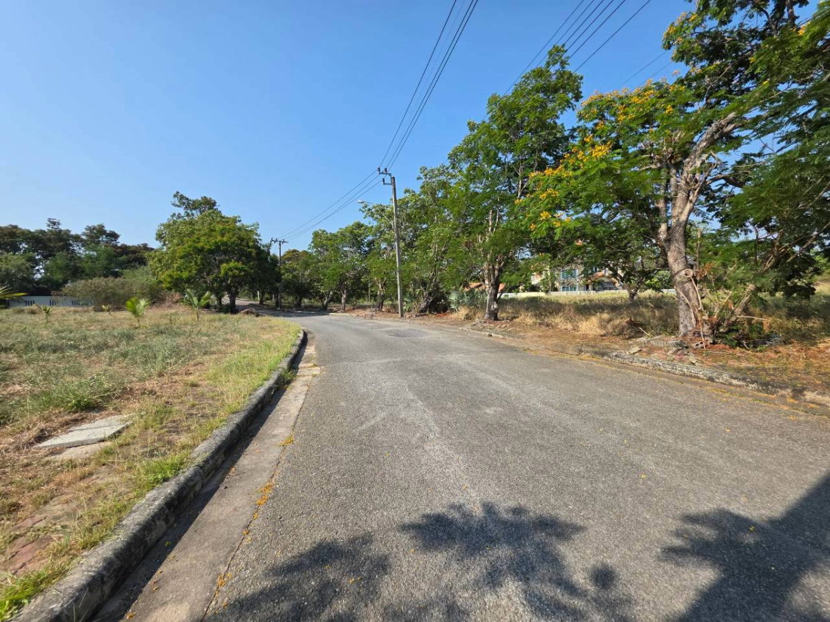 รูป ขายที่ดิน Lakewood บางนา 958 ตร.ว เหมาะสร้างบ้าน ใกล้ Maga Bangna - รูปที่ 2/9