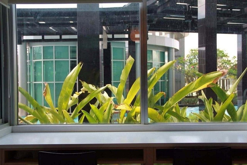 รูป ให้เช่า คอนโด Rhythm Ratchada แบบ 1 ห้องนอน ชั้น 5 วิวสวนและสระ ห้องสวยตกแต่งครบ ลดพิเศษภายในเดือนนี้ เพียง 19,950 บาท เท่านั้น - รูปที่ 10/12