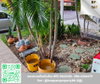 listing thumbnail image 9