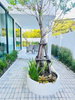 listing thumbnail image 12