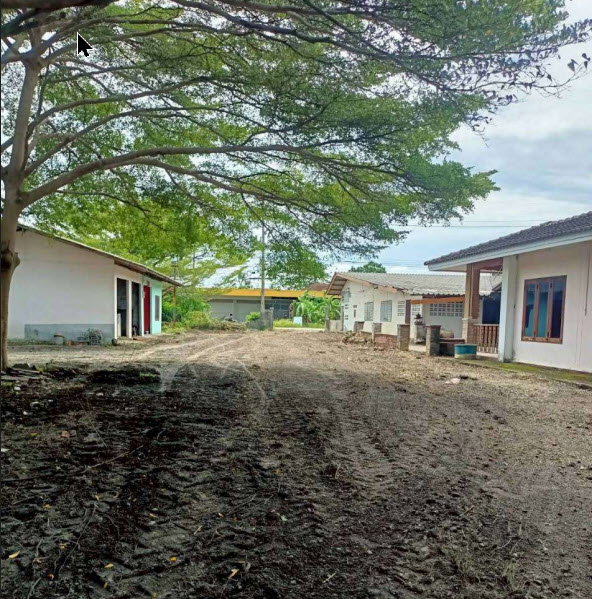 picture LAND 1071 Sq.w. Kanchanadit Surat Thani for 5M - 12/14