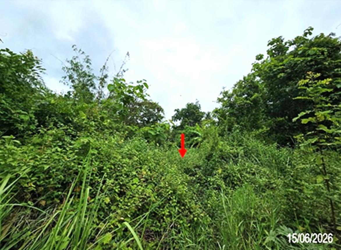 picture FACTORY 2382 Sq.w. Phichai Uttaradit for 5M - 12/18