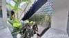 listing thumbnail image 49