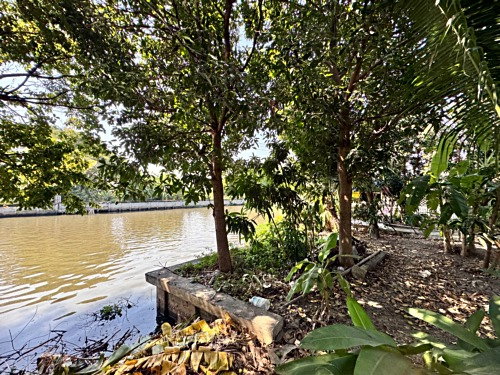รูป ขายที่ดินซอยลาดกระบัง3 ขนาด 371 ตร.วา ถนนประชาทร (N.1380) - รูปที่ 3/9