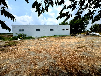 Land for sale : Beautiful, leveled land for sale, ready to use, in Soi Suwinthawong 47. Only 1.15 million baht! 🏡 (N.2094)
