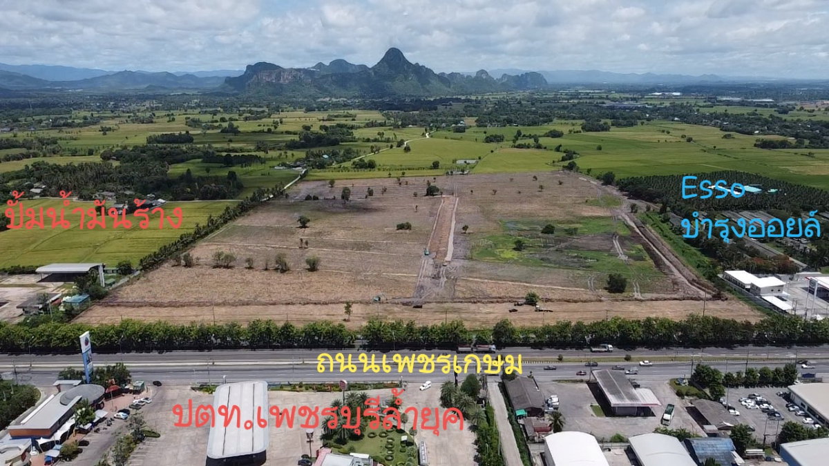 รูป ขายด่วน ที่ดินเขาย้อย จ.เพชรบุรี หน้ากว้าง 360 เมตร รวม 115 ไร่เศษ ติดถนนเพชรเกษม ขาเข้ากรุงเทพ - รูปที่ 3/4