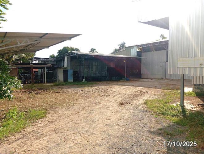 รูป โกดัง 315 ตร.วา ศีขรภูมิ สุรินทร์ 1.6M - รูปที่ 6/20