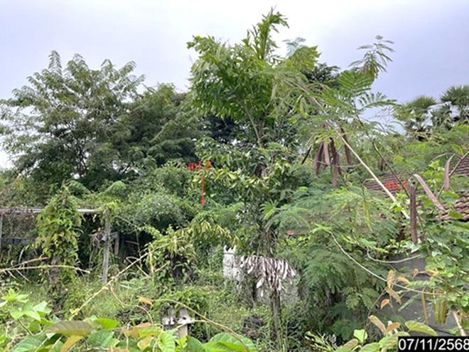 picture HOME 419 Sq.w. Nong Han Udon Thani for 5.4M - 2/18