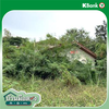 listing thumbnail image 15