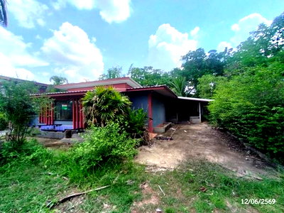 ขายบ้านเดี่ยว : บ้านเดี่ยว 600 ตร.วา กุสุมาลย์ สกลนคร 2.5M