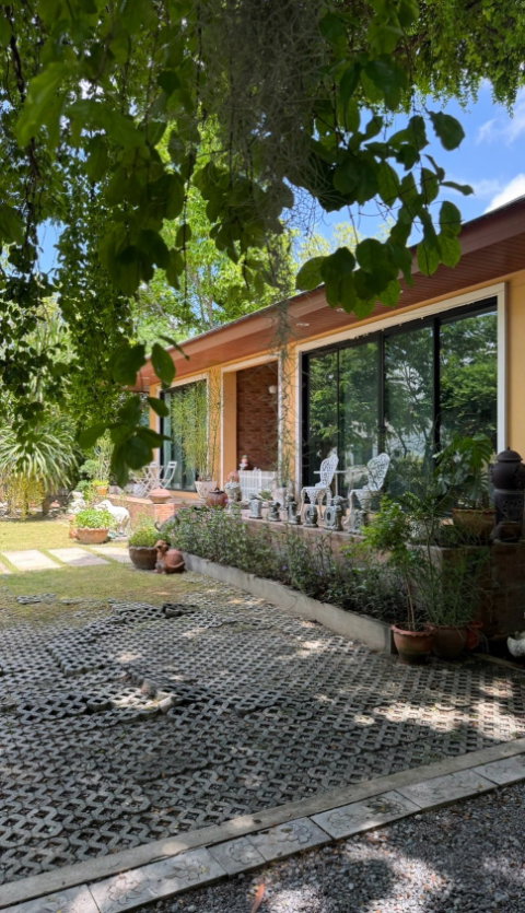 ขายบ้านเดี่ยว พร้อมสวนผลไม้ มวกเหล็ก สระบุรี (ห่างมิตรภาพ 800 เมตร) (N.2262)