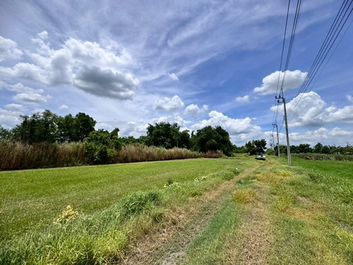 รูป ขายที่ดินเปล่าหนองจอก ถ.ประชาสำราญ (ซอยร่วมพัฒนา) **เพียง 4,500/ตารางวา** (N.1717) - รูปที่ 6/9