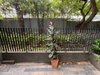 listing thumbnail image 16